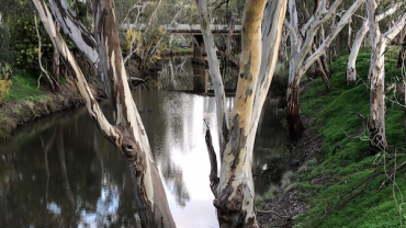 The Campaspe River