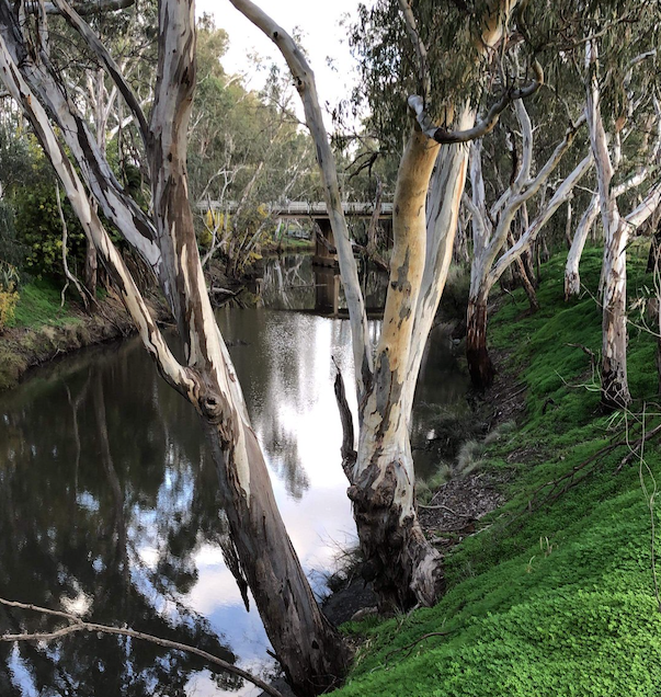 The Campaspe River